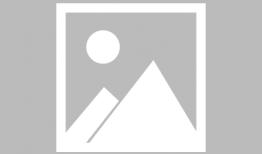 成人性视频网,暗流涌动的网络世界