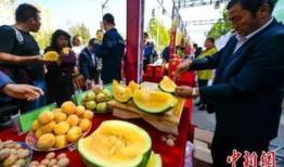 最新吃瓜爆料免费观看红领巾,最新吃瓜爆料，免费观看独家内容！